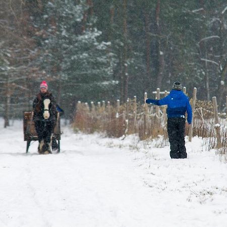 Kolorowe Wzgorze Agroturystyka I Konie Trojanow Exterior foto